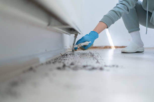 Reliable Highlands Ranch, CO Pest Control Solutions